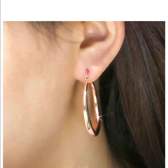 New Rose Gold Hoop Earrings for Women - Picture 6 of 6